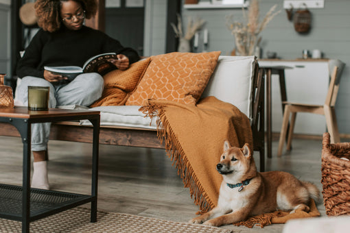 Wick and Glow's Guide to Soft Life Living - Wick and Glow Candle Company™