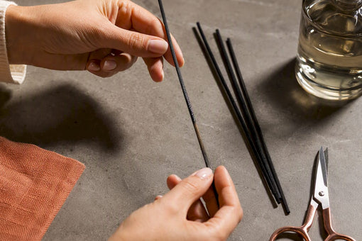 Hands inspecting dry diffuser reeds