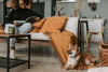 Wick and Glow's Guide to Soft Life Living - Wick and Glow Candle Company®