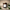 Ascension-Juniper and Berry Luxury Scented Candle - Wick and Glow Candle Company™