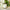 On and On- Eucalyptus and Mint Luxury Scented Candle - Wick and Glow Candle Company™